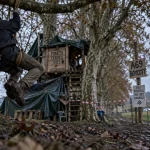 A69 Toulouse-Castres : des opposants mobilisés dans les arbres à Vendine