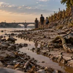Sécheresse : la Garonne passe en crise entre les Pyrénées et Toulouse